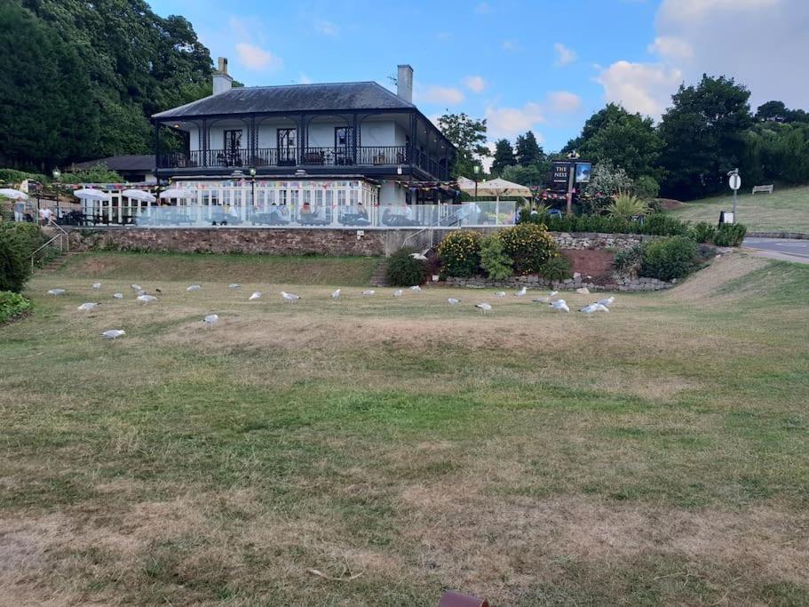 Beach Retreat Village Centre Location Shaldon Eksteriør billede